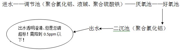 豆制品工艺流程